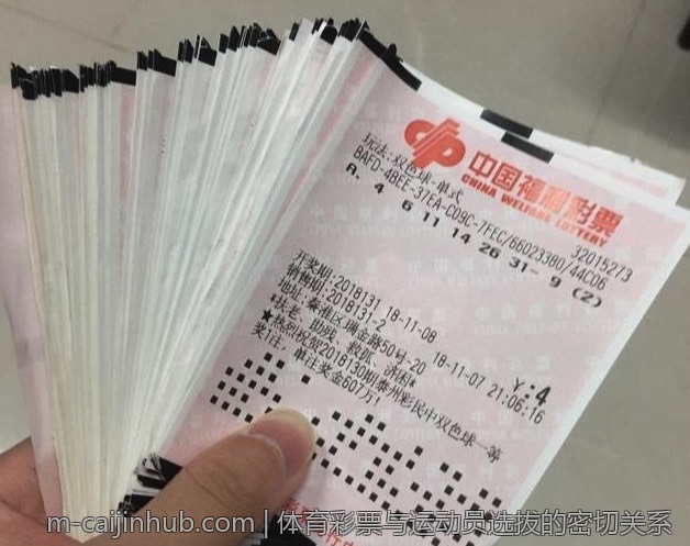 如何提升体育彩票购买者的忠诚度